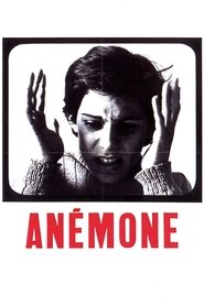 Poster Anemone 1968