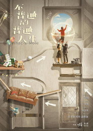 不普通的普通人生