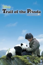 Poster Trail of the Panda