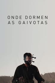 Onde dormen as gaivotas Online Dublado em HD