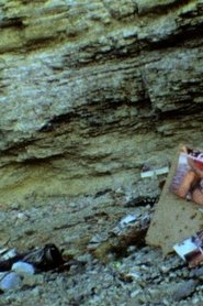 Poster Those Inescapable Slivers of Celluloid 2011