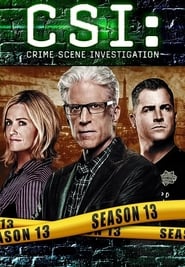 CSI: Crime Scene Investigation - Season 14 Season 13