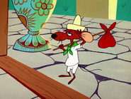 Mexican Boarders