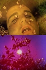 Poster Aurore 1989
