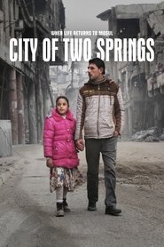 Poster City of Two Springs 2019