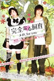 Perfect Education: A Maid for You 2010