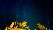 Poster Sky, Wind, Stars and the Island 