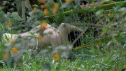 Spring Story