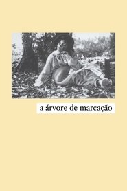 A Árvore de Marcação) A Árvore de Marcação (1994)