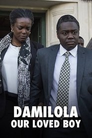 Poster Damilola, Our Loved Boy 2016