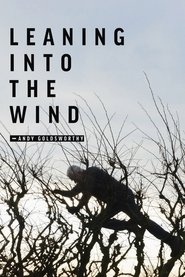 Leaning·Into·the·Wind:·Andy·Goldsworthy·2018·Blu Ray·Online·Stream