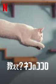 教えて？ ネコのココロ