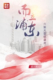 Poster for 而立浦东