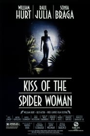 Поцілунок жінки-павука постер