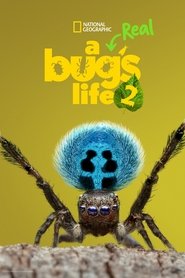 Poster for Season 2