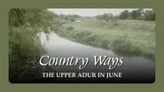 The Upper Adur in June