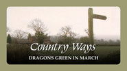 Dragons Green in March