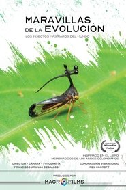 Maravillas de la Evolución. Los insectos más raros del mundo