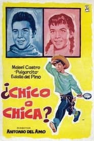 Poster ¿Chico o chica?