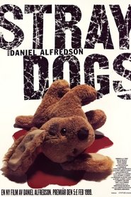 Poster Straydogs 1999 Poster Straydogs 1999