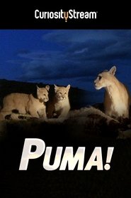 Poster Puma!