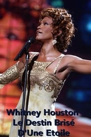Whitney Houston Le Destin Brisé D'Une Etoile