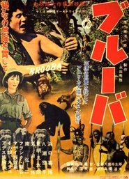 Poster Brooba 1955