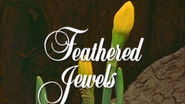 Feathered Jewels