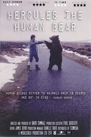 Poster Hercules the Human Bear 2013