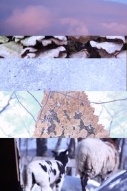 Poster The Things That Make up my Body 2019