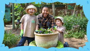 Feeding the Garden