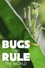 Poster Bugs That Rule the World - Season 1 2025