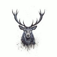 thecrustycurmudgeon avatar