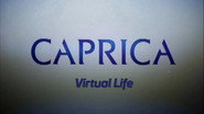 Video Blogs: Virtual Life