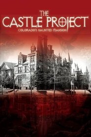 Poster The Castle Project 2013