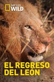 Poster Return of The Lion 2017
