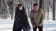 Pine Barrens