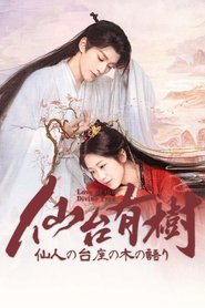 仙台有樹~仙人の台座の木の語り~