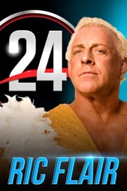 WWE 24 poster