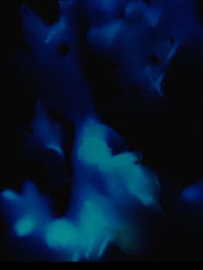 The solemn admonition of your breathing