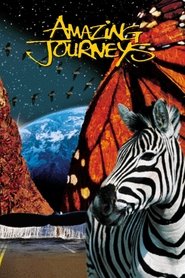 Amazing Journeys постер