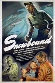 Snowbound постер