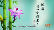 Episode 43