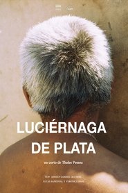 Luciérnaga de Plata