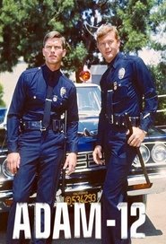 Poster Adam-12 - Season 4 Episode 6 : The Ferret 1975