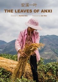 Poster The Leaves of Anxi 2024