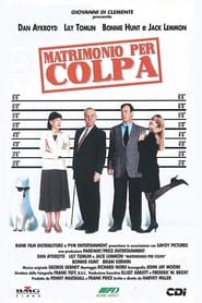 Matrimonio per colpa