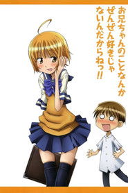 お兄ちゃんのことなんかぜんぜん好きじゃないんだからねっ！！ (2011)