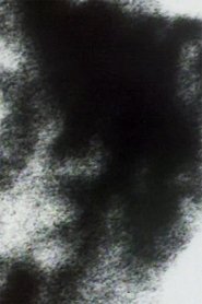 Friends Along the Way