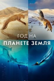 A Year on Planet Earth постер